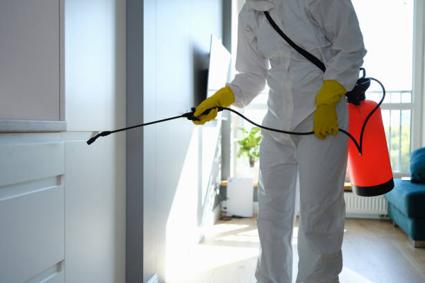 Best Mold Testing  in Ansted, WV