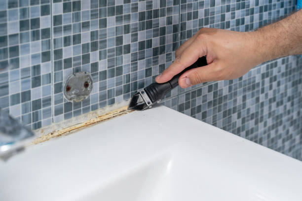 Best Professional Mold Removal  in Ansted, WV