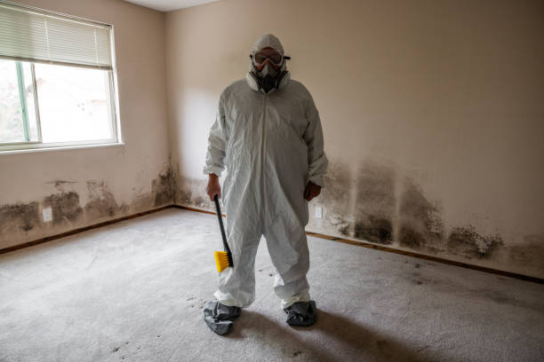 Crawl Space Mold Removal in Ansted, WV